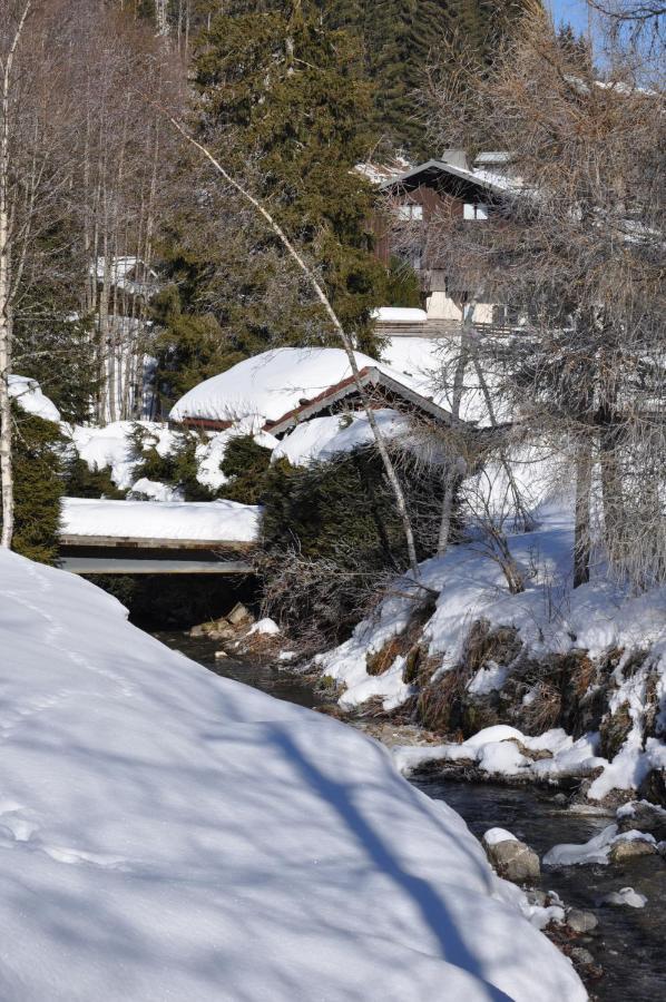 Appartement Chalet Louison Les Gets Kültér fotó